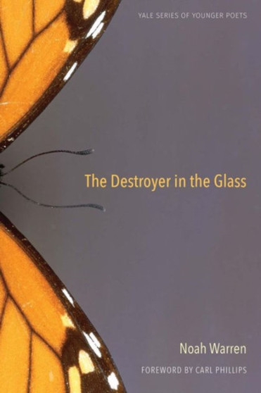 The Destroyer in the Glass : 110 by Noah Warren - Paperback
