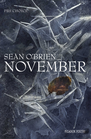 November by Sean O'Brien - Hardback