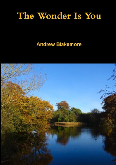 The Wonder Is You by ANDREW BLAKEMORE - Paperback
