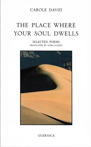 Place Where Your Soul Dwells by Carole David - Paperback