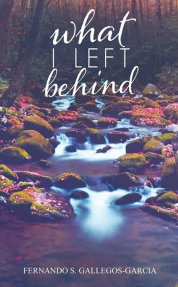 What I Left Behind by Fernando S Gallegos-Garcia - Paperback