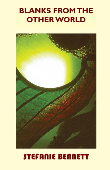 Blanks from the Other World by Stefanie Bennett - Paperback