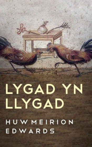 Lygad yn Llygad by Huw Meirion Edwards - Paperback