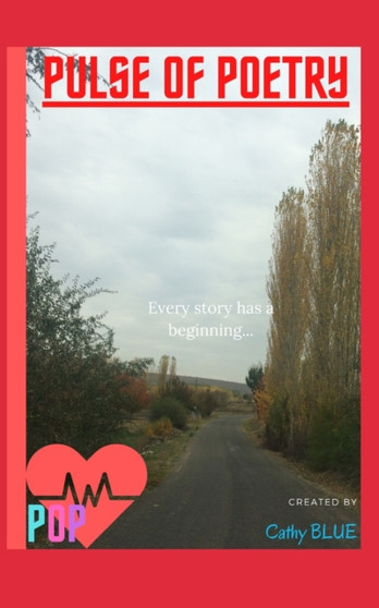 Pulse of Poetry : Volume 1: Every Story Has A Beginning by Pulse Of Poetry - Paperback