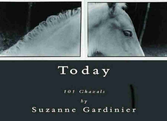 Today by Suzanne Gardinier - Paperback
