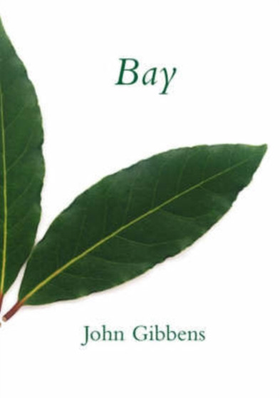 Bay by John Gibbens - Paperback