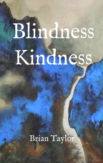 Blindness Kindness by Brian F Taylor - Paperback