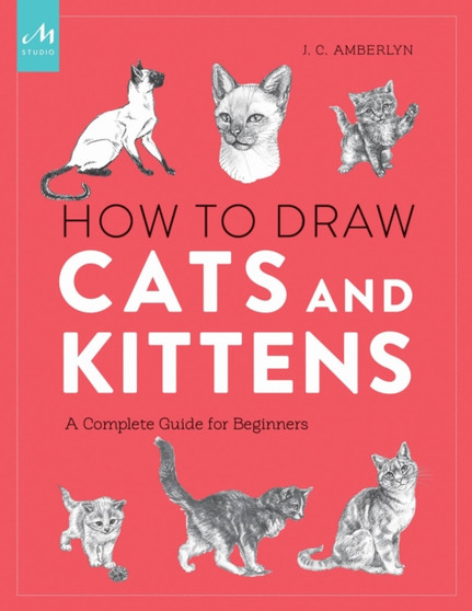 How to Draw Cats and Kittens : A Complete Guide for Beginners by J.C. Amberlyn - Paperback