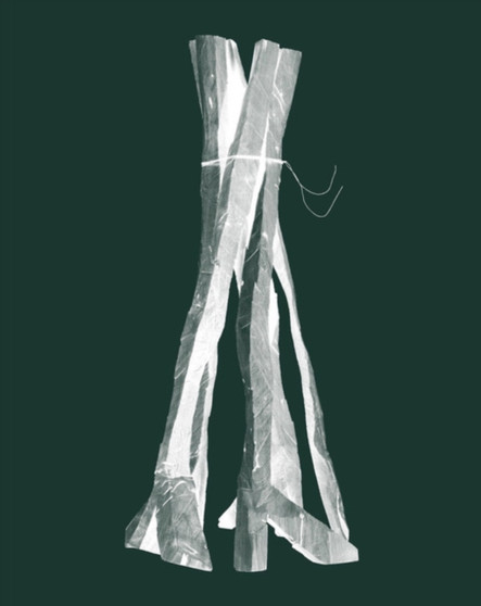 Georg Baselitz : Sculptures 2011-2015 by Georg Baselitz - Paperback