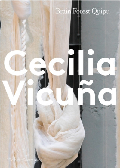 Hyundai Commission: Cecilia Vicuna by Chus Martinez - Paperback