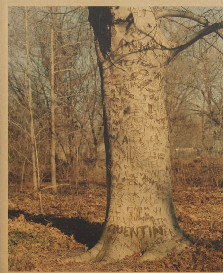 Common Place by Scott Rossi - Paperback