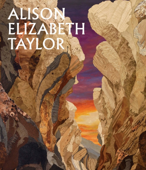 Alison Elizabeth Taylor: The Sum of It by Alison Elizabeth Taylor - Hardback