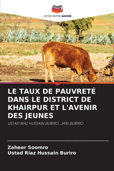 Le Taux de Pauvrete Dans Le District de Khairpur Et l'Avenir Des Jeunes by Zaheer Soomro - Paperback