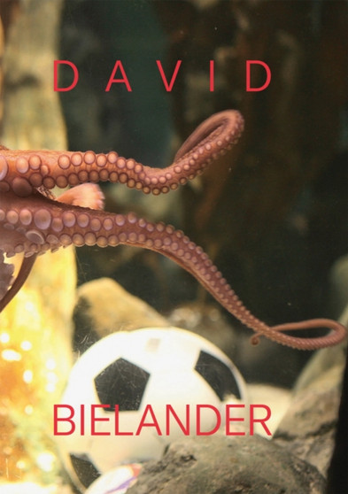 David Bielander : Twenty Years. 2016-1996 by Florian Hufnagl - Hardback