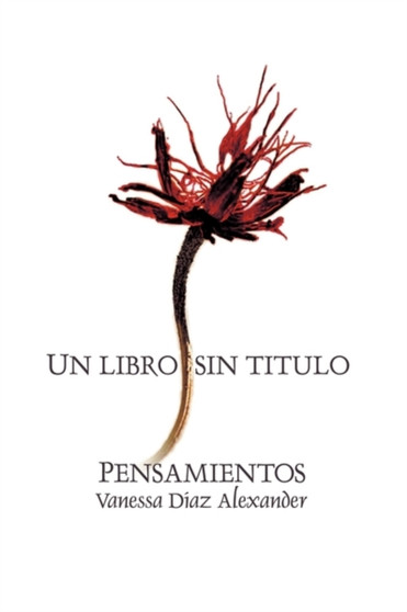 Un Libro Sin Titulo by Daz Vane Daz - Paperback