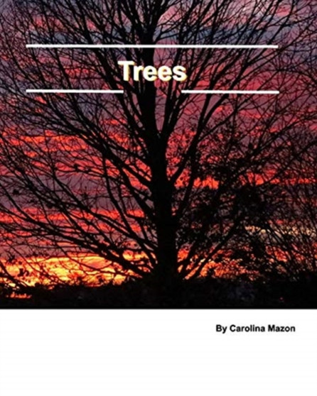 Trees 20x25 by Carolina Mazon - Paperback