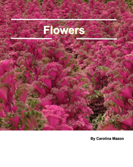 Flowers 20x25 by Carolina Mazon - Paperback