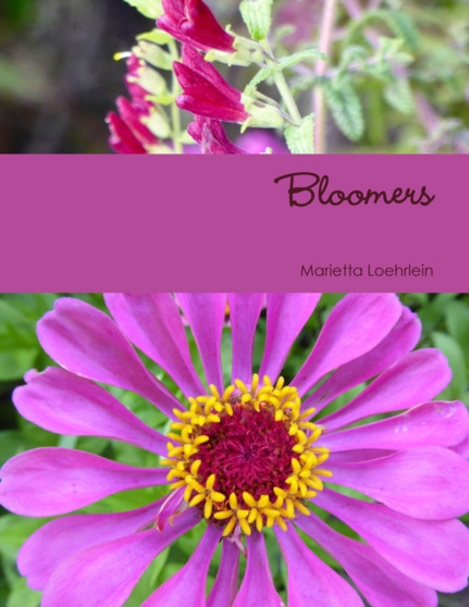 Bloomers by Marietta Loehrlein - Paperback