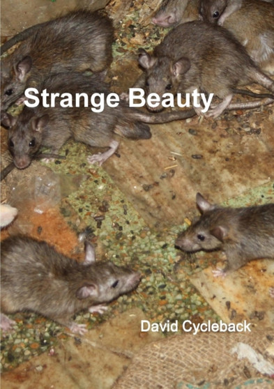 Strange Beauty by David Cycleback - Paperback