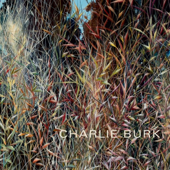 Charlie Burk : Journey in Abstraction by Charlie Burk - Paperback