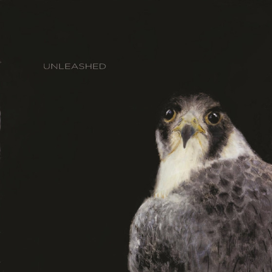Unleashed by Catherine Eaton Skinner - Hardback