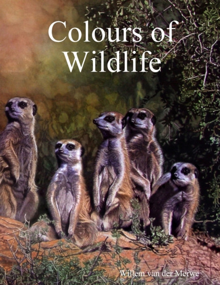 Colours of Wildlife by Willem van der Merwe - Paperback