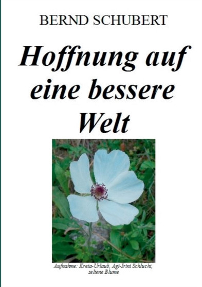 Hoffnung auf eine bessere Welt by Bernd Schubert - Paperback
