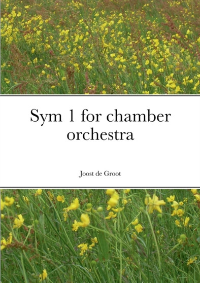 Sym 1 for chamber orchestra by Joost De Groot - Paperback