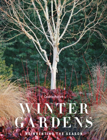 Winter Gardens : Reinventing the Season by Cedric Pollet - Hardback