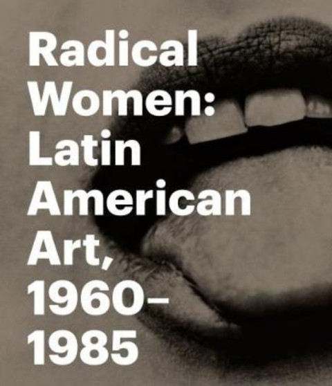 Radical Women : Latin American Art, 1960 - 1985 by Andrea Giunta - Hardback