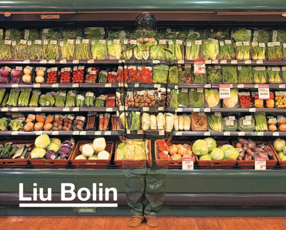 Liu Bolin by Liu Bolin - Hardback