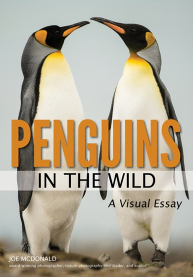Penguins In The Wild by Joe McDonald - Paperback