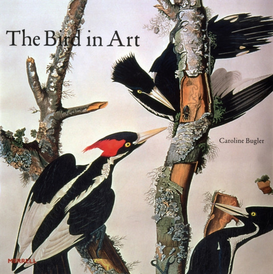 Bird in Art by Caroline Bugler - Hardback