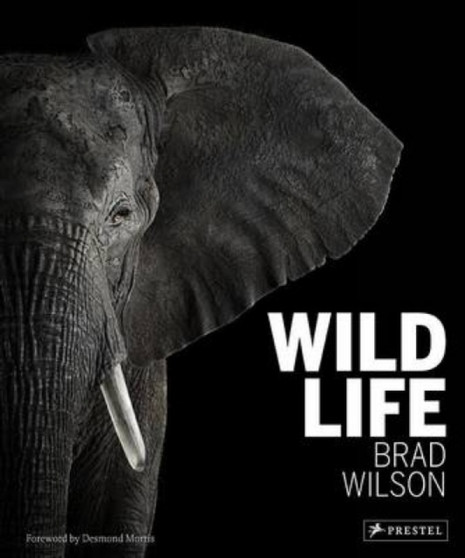 Wild Life by Brad Wilson - Hardback