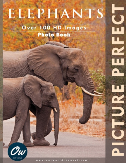 Elephants : Picture Perfect Photo Book by A Arelt - Paperback