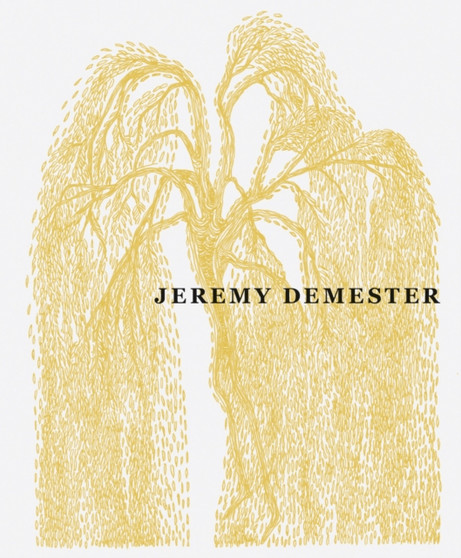 Jeremy Demester by Jeremy Demester - Hardback