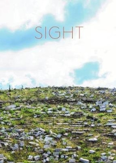 SIGHT : Antony Gormley on Delos by Dimitris Daskalopoulos - Paperback
