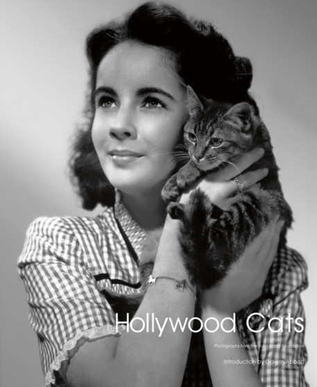 Hollywood Cats : Photographs From the John Kobal Foundation by Gareth Abbott - Hardback