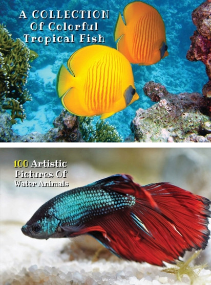 A Collection of Colorful Tropical Fish - 100 Artistic Pictures of Water Animals - Full Color HD : Professional Photo Album - The Best Animal Pictures And Art Images Ideas - Rigid Cover Version - Engli by Best Fine Art Photography Books - Hardback