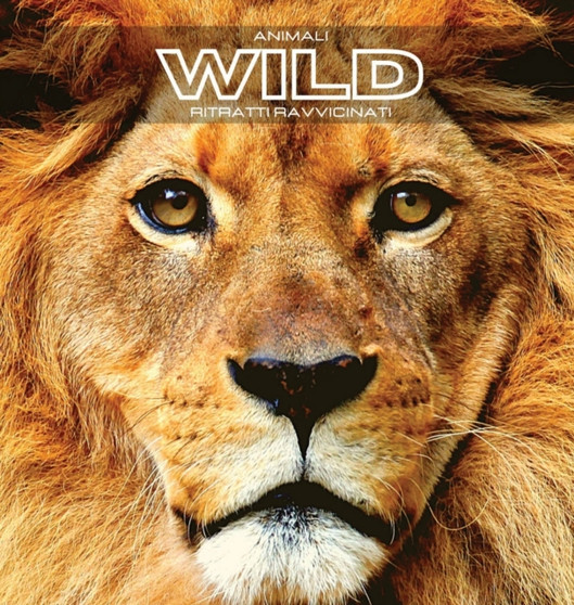 Animali WILD Ritratti Ravvicinati : Album fotografico a colori. Idea regalo per amanti degli animali e della natura. Foto libro con primi piani di animali selvatici, liberi nel proprio habitat natural by Hayden Clayderson - Hardback