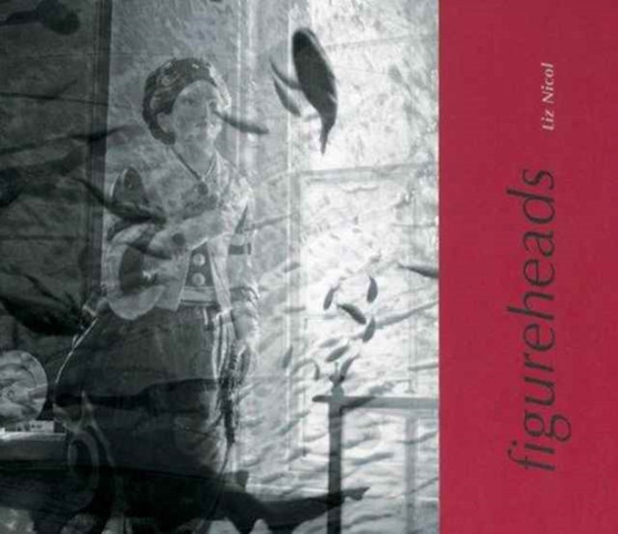 Figureheads by Liz Nicol - Paperback
