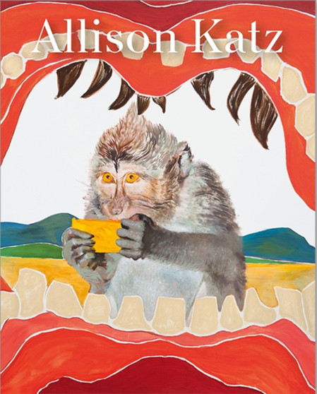 Allison Katz by Allison Katz - Hardback