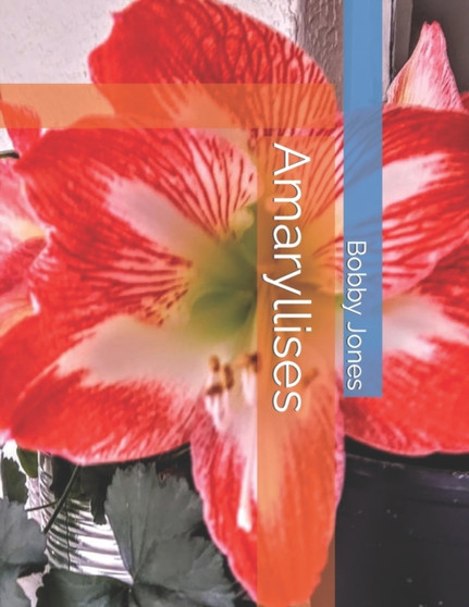 Amaryllises by Bobby J Jones - Paperback