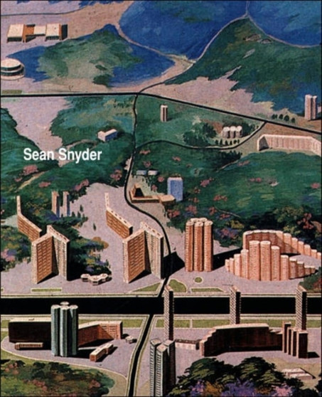 Sean Snyder by Daniel Birnbaum - Paperback