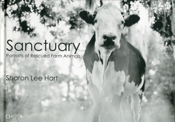 Sharon Lee Hart: Sanctuary : Portraits of Rescued Farm Animals by Jeffrey Moussaieff Masson - Hardback