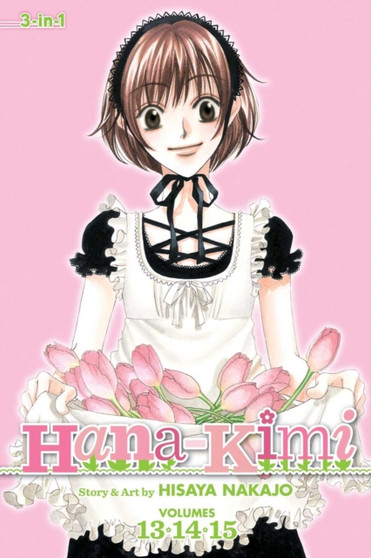 Hana-Kimi (3-in-1 Edition), Vol. 5 : Includes vols. 13, 14 & 15 : 5