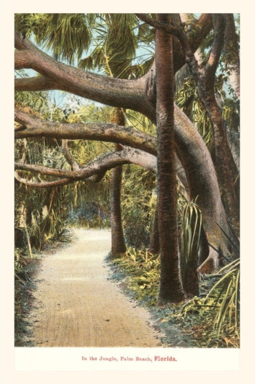 Vintage Journal Jungle, Palm Beach, Florida