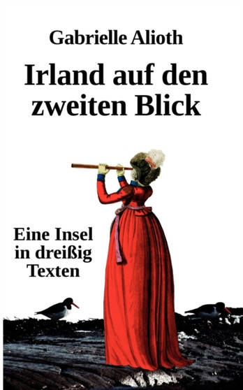 Irland auf den zweiten Blick : Eine Insel in dreissig Texten