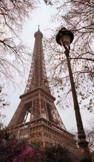 2022 Daily Planner with yearly and weekly creative and life planning goals- Hardcover : Daily, Monthly, Goals for the Creatives