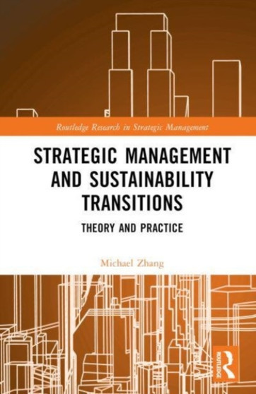 Strategic Management and Sustainability Transitions : Theory and Practice